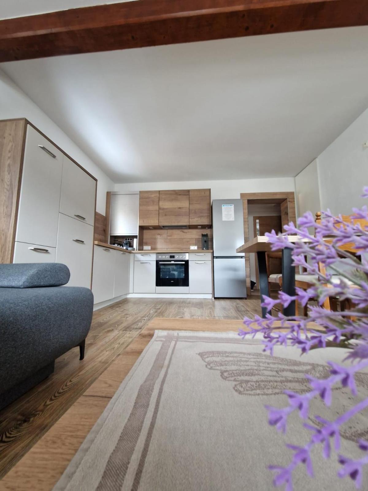 Haus-Ennstal Appartement Oblarn Buitenkant foto